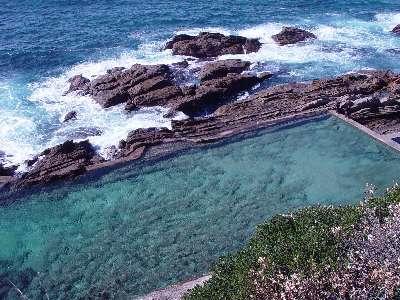 Moorhen Cove Hotel Bermagui Exterior foto